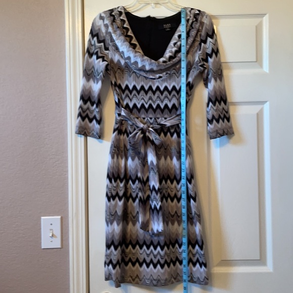 Alex Marie dress ~ size 2P - Picture 4 of 5